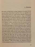 Ett f&auml;ngelse s&aring; stort : roman