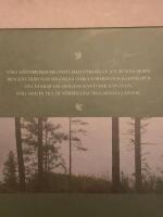 Handen, tr&auml;det, tanken : fr&aring;n de f&ouml;rbisedda skogarnas gl&auml;ntor