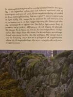 Handen, tr&auml;det, tanken : fr&aring;n de f&ouml;rbisedda skogarnas gl&auml;ntor