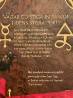 Septimus Heap. Bok 3, Alkemisten