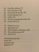 En kortfattad historik &ouml;ver n&auml;stan allting