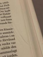 En kortfattad historik &ouml;ver n&auml;stan allting