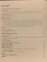 Skyllberg : ett bruk i bruk