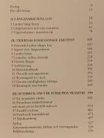 Fartrusiga : om en gr&auml;nsl&ouml;st massmobil tid och v&aring;r fossilfria morgondag