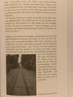 Fartrusiga : om en gr&auml;nsl&ouml;st massmobil tid och v&aring;r fossilfria morgondag