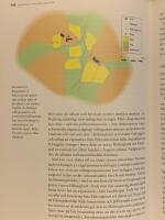 Jordbrukets f&ouml;rsta femtusen &aring;r : 4000 f.Kr. 1000 e.Kr