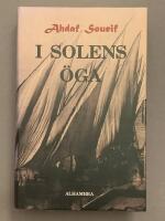 I solens &ouml;ga