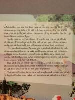 Croissants till frukost