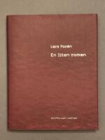 En liten roman