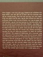 En liten roman