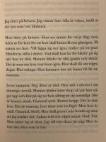 En liten roman