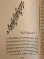 Bonden i svensk historia I-III (Del 1-3)