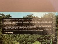 Tr&auml;dg&aring;rdens barrv&auml;xter