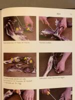 Styckning av vilt : &auml;lg, hjort, r&aring;djur, vildsvin, hare och f&aring;gel