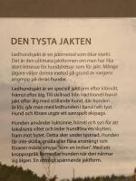 &Auml;lgjakt med ledhund : fr&aring;n valpval till ledhundschampion