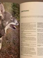 &Auml;lgjakt med ledhund : fr&aring;n valpval till ledhundschampion