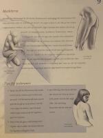 Anatomi f&ouml;r konstn&auml;rer : lekande l&auml;tt