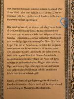 Saladin : hans liv och hans krig mot frankerna