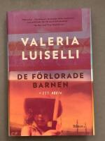 De f&ouml;rlorade barnen : ett arkiv