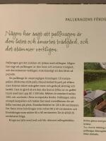 Odla i pallkrage