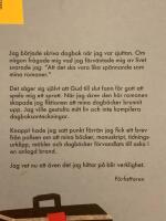 Mitt liv som roman