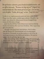 En f&ouml;rlorad k&auml;rlek
