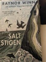 Saltstigen