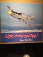 Uppvisningsflyg!
