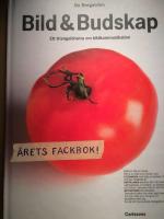 Bildt & Budskap- Ett triangeldrama om bildkommunikation