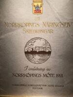 Ur Norrk&ouml;pings n&auml;ringsliv. Skildringar. I anledning av Norrk&ouml;pings m&ouml;te 1921.