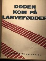 D&ouml;den kom p&aring; larvef&ouml;dder.  FN-rapporten om Ungarn