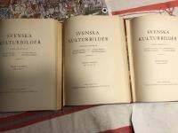 Svenska kulturbilder, del I - VI