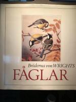 Br&ouml;derna von Wrights f&aring;glar