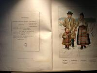 Afbildningar af Svenska National Dr&auml;kter. S&aring;dana de burits eller b&auml;ras i olika landskap