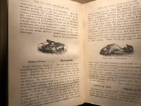 Fullst&auml;ndigaste Svensk-Amerikansk kokbok - Swedish - English cookbook