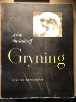 Gryning. Str&ouml;vt&aring;g med filmkamera