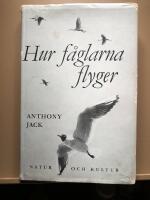 Hur f&aring;glarna flyger