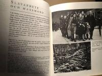Hamna i helvetet. Om Leon, andra v&auml;rldskriget och f&ouml;rintelsen