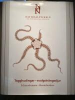 Nationalnyckeln till Sveriges flora och fauna. Tagghudingar - svalgstr&auml;ngsdjur. Echinodermata - hemichordata