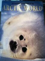 The marvelous landscapes of the Arctic world