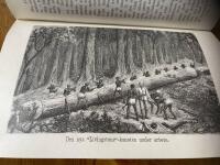 Genom de svartas verldsdel eller Nilens k&auml;llor, kring de stora sj&ouml;arne och utf&ouml;r Livingstone-floden till Atlantiska hafvet, del II