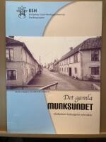 Det gamla Munksundet : stadsplaner, bebyggelse och folkliv