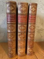 Kyrkohistoria f&ouml;r hemmet, del I - III