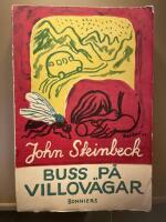 Buss p&aring; villov&auml;gar