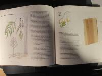 Nordiska tr&auml;d och tr&auml;slag