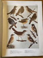 Nordens f&aring;glar. 170 tavlor av Olof Gylling