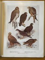 Nordens f&aring;glar. 170 tavlor av Olof Gylling