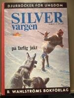Silvervargen p&aring; farlig jakt