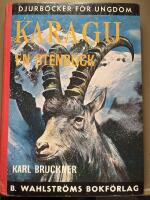 Karagu - en stenbock