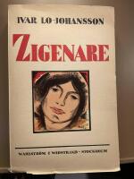 Zigenare. En sommar p&aring; det heml&ouml;sa folkets vandringsstigar